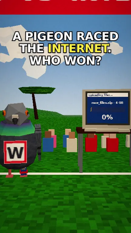 A pigeon raced the internet. Who won?